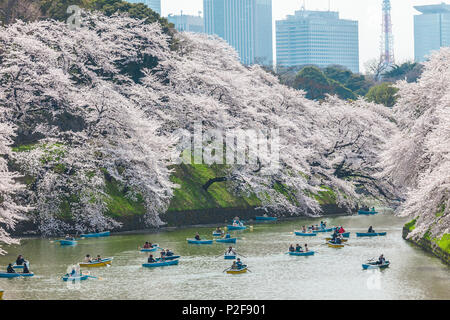 Chidori-ga-fuchi with leisure boats people enjoying cherry blossom in spring, Chiyoda-ku, Tokyo, Japan Stock Photo