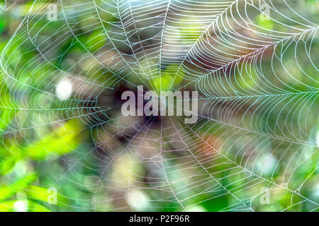 Silk rope hi-res stock photography and images - Alamy