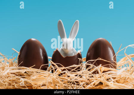 easter bunny in chocolate eggs on straw isolated on blue Stock Photo