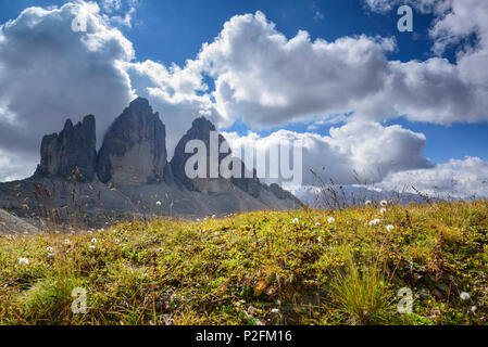 Drei Zinnen, Tre Cime di Lavaredo, UNESCO World Heritage Site Dolomites, Sextener Dolomites, Dolomites, Veneto, Italy Stock Photo