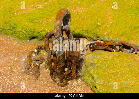 An old rusty chain is thrown on the seashore against a background of yellow sand. Stock Photo
