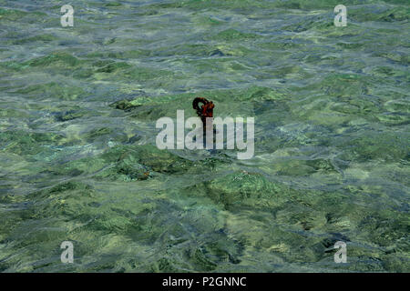 The old rusty chain is thrown on the seashore in clear clear water against the background of yellow sand. Stock Photo