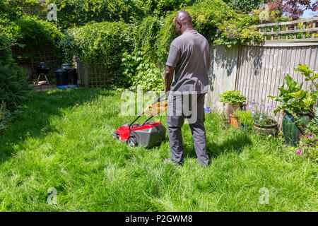 Black lawnmower in the garden lawn the grass with fuel engine Stock ...