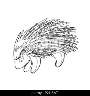 Vector illustration of porcupine in continious line graphic style, black countour outline sketch isolated on white Stock Vector