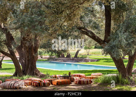 Kilim upholstered pouffs scattered amongst olive trees in garden with swimming pool Stock Photo