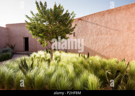 Exterior facade of adobe Berber style lodges with courtyard of lemon tree, grasses and cactus plants Stock Photo