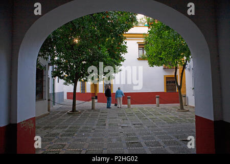 A small square, Calle Susona, in Barrio de Santa Cruz, Sevilla, Andalusia, Spain, seen through an archway from Calle Agua