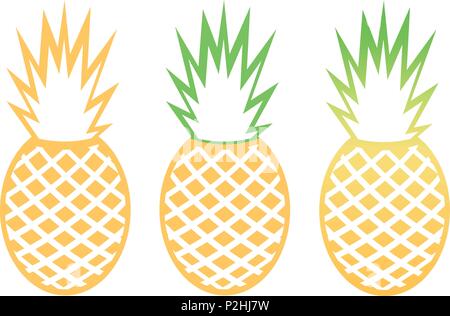 Vector pineapple tropical fruit outline set Stock Vector