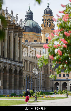 Theatine Church of St. Cajetan from Hofgarten behind the royal Residence, chestnut blossom, 17th century, Italian Baroque style, Stock Photo