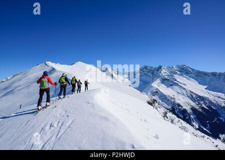 Several persons back-country skiing ascending towards Gammerspitze, Zillertal Alps in background, Gammerspitze, valley of Schmir Stock Photo