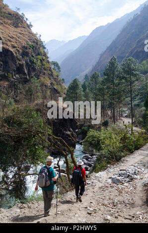 Trekkers in river valley, near Bamboo Lodge, Langtang Valley, Nepal Stock Photo