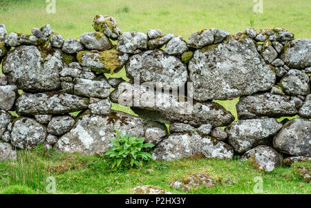 kingdom new lands stone walls