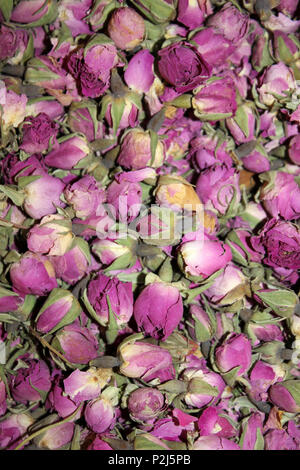 Moroccan Damask Rose Petals Stock Photo