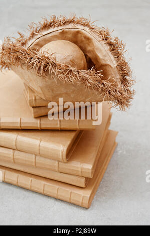 Paper hat and books Stock Photo