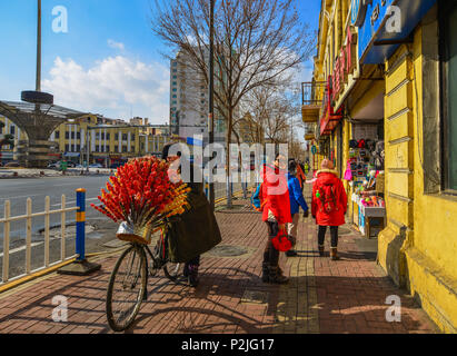 Harbin, China - Feb 22, 2018. A vendor with bicycle selling candied fruits (Tanghulu) in Harbin, China. Stock Photo