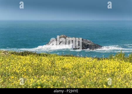 The Goose a small rocky uninhabited island off the coast of Newquay in Cornwall. Stock Photo