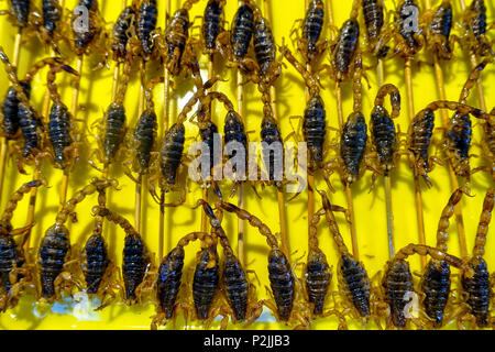 The scorpions as food are on the street in Beijing, China Stock Photo