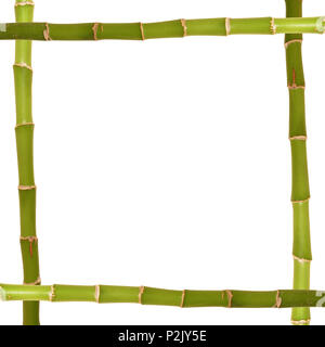 Lucky bamboo frame isolated on white Stock Photo