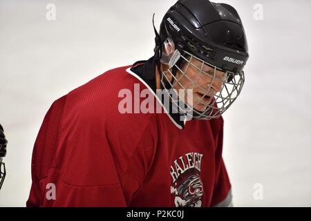 Looking across a hockey rink from behind the net Stock Photo - Alamy