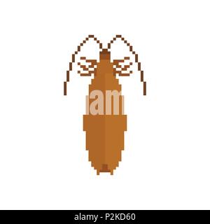 Cockroach Pixel art. Insect 8 bit. Beetle digital. Bug Vector illustration Stock Vector