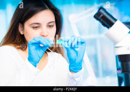 technician girl with microfluidic device LOC in microbiological lab Stock Photo