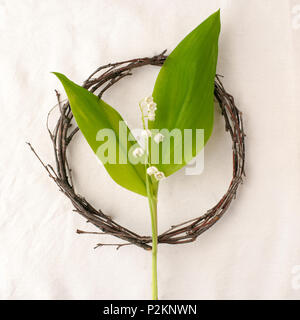 Floral composition. Wreath made of roools, leaves, and flowers lily of the valley on tissue white background. Rustic style of home decor, flat lay, to Stock Photo