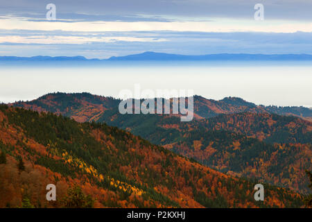 Fog over the Rhine valley, view from Belchen over the Rhine valley towards the Vosges, Black Forest, Baden-Wuerttemberg, Germany Stock Photo
