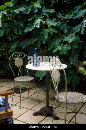 White metal chairs and small circular table on paved patio in townhouse garden with large green fig plant Stock Photo