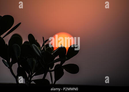 Sunset in Barra de Guaratiba Stock Photo