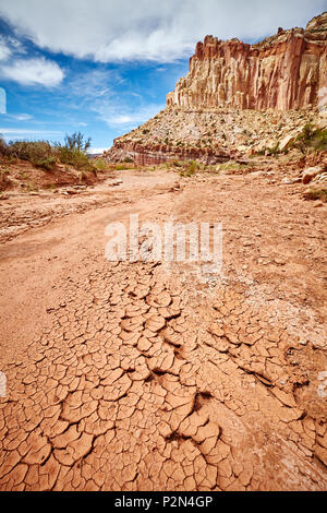 Dried up river bed in the Capitol Reef National Park, Utah, USA. Stock Photo