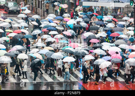 Famous pedestrian zebra crossing in Shibuya with many umbrellas, Tokyo, Japan Stock Photo