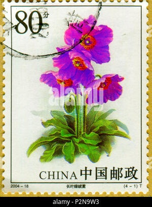 GOMEL, BELARUS, 27 OCTOBER 2017, Stamp printed in China shows image of the Celery wormwood, circa 2004. Stock Photo