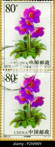 GOMEL, BELARUS, 27 OCTOBER 2017, Stamp printed in China shows image of the Celery wormwood, circa 2004. Stock Photo