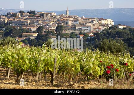 France, Var, La Cadiere-d'Azur (83) fortified village located on a hill, facing Castellet. The town is surrounded by vineyards, it is part of the AOC Bandol appellation Stock Photo