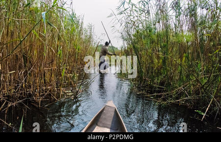 Rowing traditional Mokoro (dugout canoe) on Okavango Delta, North-West District, Botswana Stock Photo