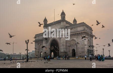 MUMBAI, INDIA - JANUARY 14, 2017 -  Unidentified people walk and pigeons fly around the Gateway of India Stock Photo
