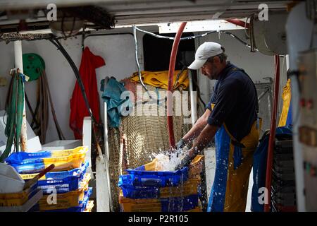 France, Herault, Grau d'Agde boat, the Mediterranee, Francis Disanto business, trawl fisheries off the coast between Agde and Port la Nouvelle Stock Photo