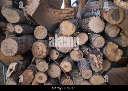 Background texture of the ends of stacked cut dried logs for firewood in a full frame view Stock Photo