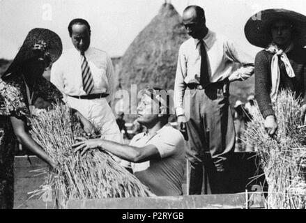 . English: Italian fascist dictator Benito Mussolini threshing wehat in Sabaudia in 1935. 3 July 1935. Unknown 11 Benito Mussolini threshing wheat 01 Stock Photo