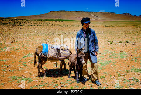 A shepherd with his donkeys looking after a flock of goats and sheep in ...