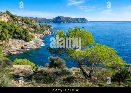 Spain, Catalonia, hiking from Roses to Cadaques on the GR 92 and European long distance path E 12 Stock Photo