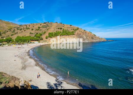 France, Pyrenees Orientales, Cote Vermeille, hiking from Banyuls sur Mer to Cerbere on the coastal path, Cerbere, Peyrefite beach Stock Photo