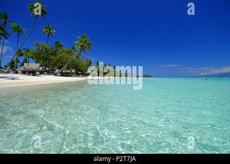 France, French Polynesia, Society Islands, Windward Islands, Moorea, Temae beach Stock Photo