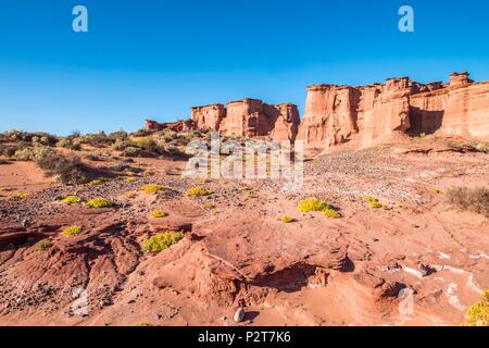 Argentina, La Rioja Province, near Villa Union, Talampaya national Park, Parque Nacional Talampaya listed as World Heritage by UNESCO, Talampaya canyon Stock Photo