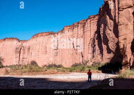 Argentina, La Rioja Province, near Villa Union, Talampaya national Park, Parque Nacional Talampaya listed as World Heritage by UNESCO, Talampaya canyon Stock Photo