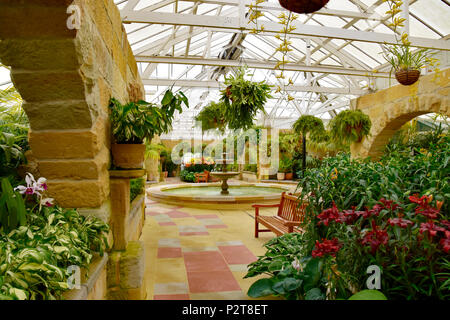 HOBART BOTANICAL GARDENS Stock Photo