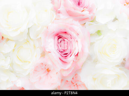 Pink roses background Stock Photo