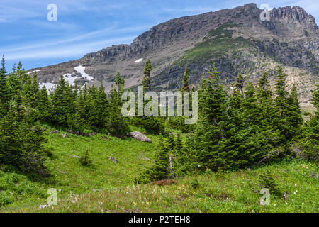 Mount Oberlin at Logan's Pass area of Glacier National Park in Montana. Stock Photo