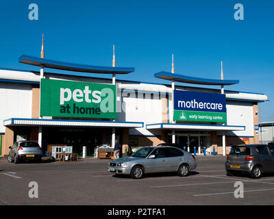 Largest pet hot sale stores