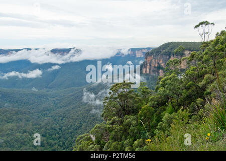 Govetts Leap Lookout. Blue Mountains in Australia. Stock Photo